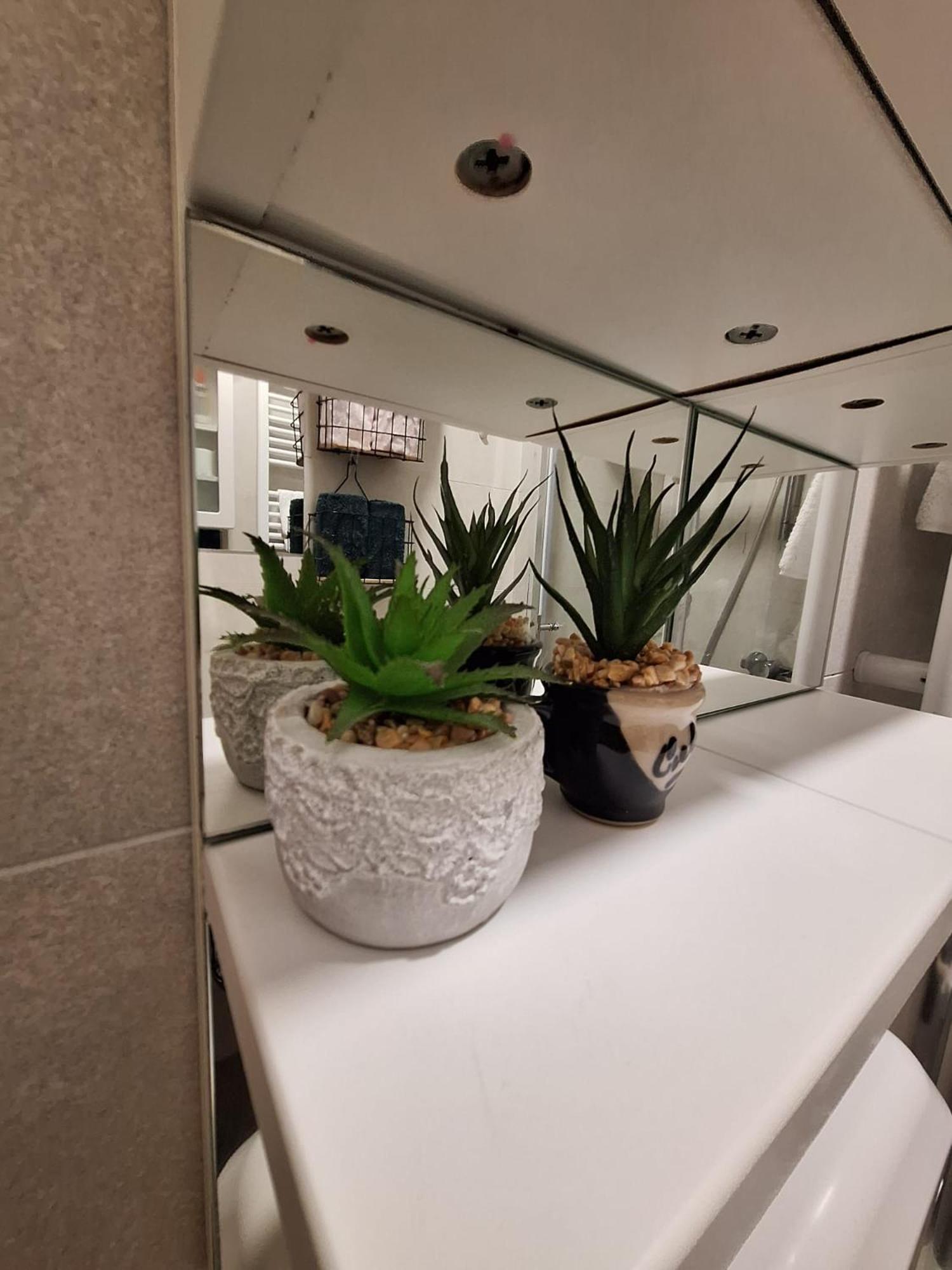 Studio Apartmani Louis I Lola Zagreb Buitenkant foto